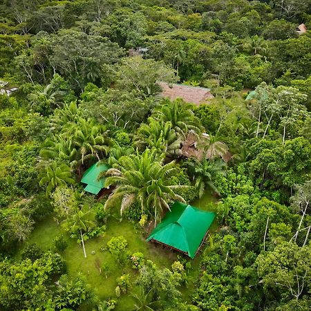 Tronco Tambopata Adventure Hotel Puerto Maldonado Exterior foto