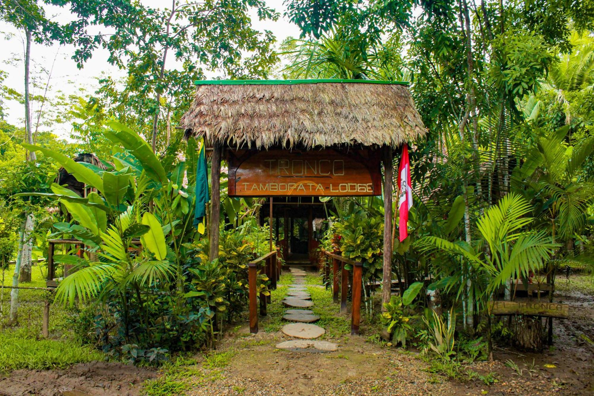 Tronco Tambopata Adventure Hotel Puerto Maldonado Exterior foto