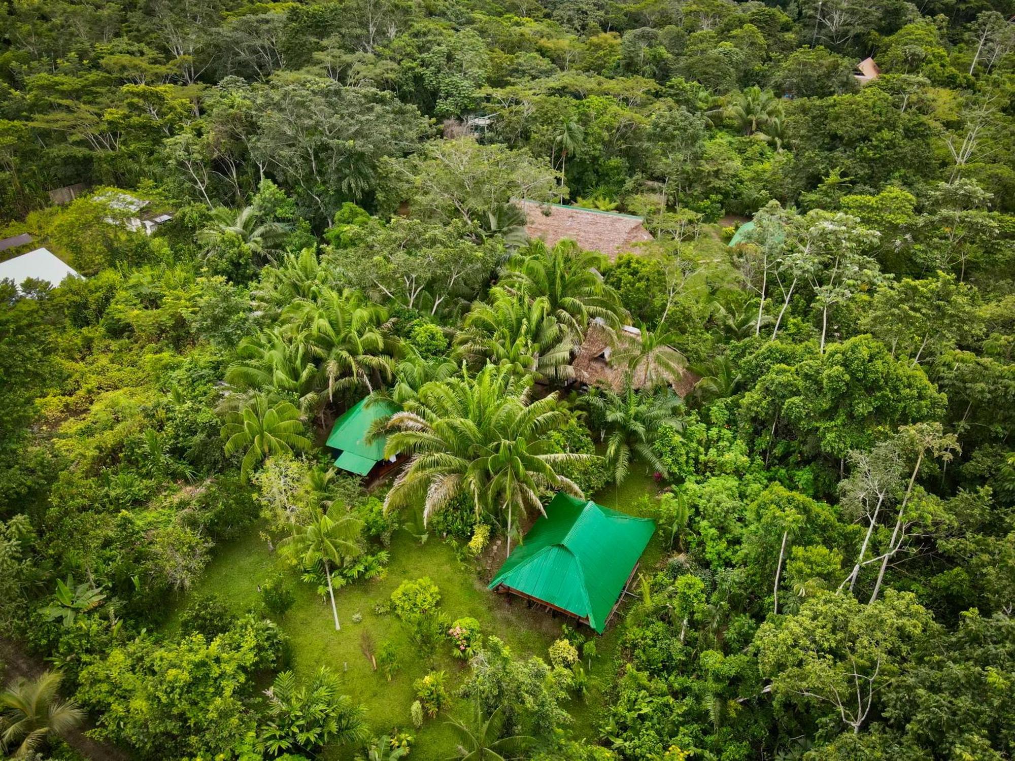 Tronco Tambopata Adventure Hotel Puerto Maldonado Exterior foto